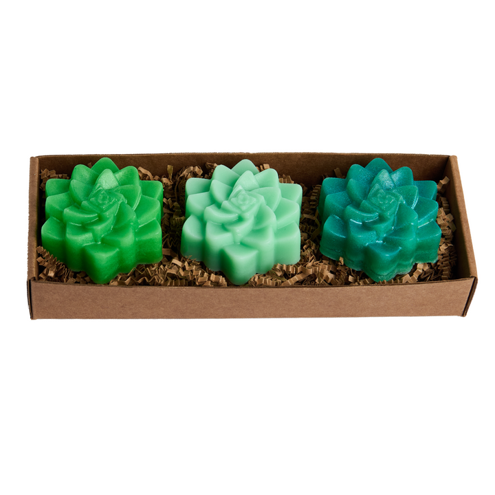 Succulent Soap Set