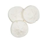 Sand Dollar Soap Set