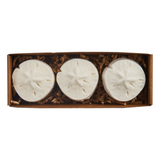 Sand Dollar Soap