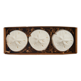 Sand Dollar Soap Set